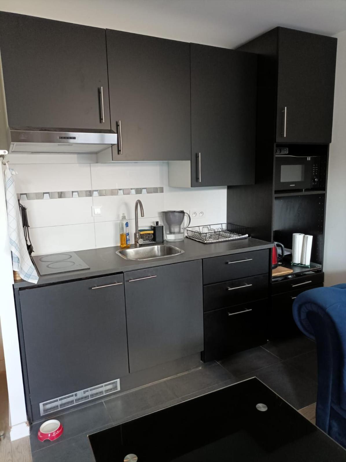 Appartment Porte De Versailles Paris Expo イシー＝レ＝ムリノー エクステリア 写真